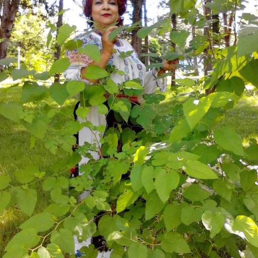 1102-IMG_20130704_164510