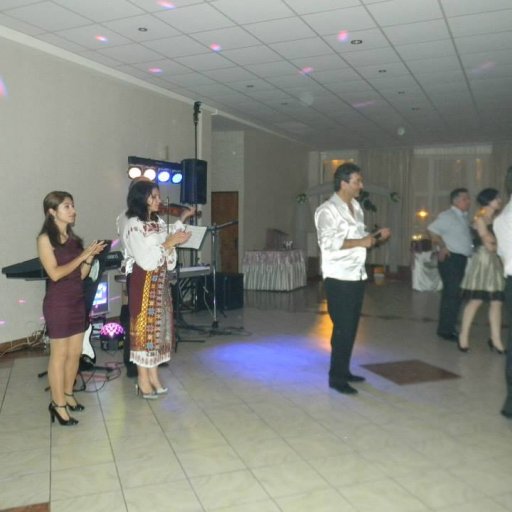 1403-1000551_303866486416121_533913327_n