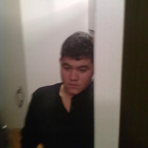 1853-576852_444695255558639_900833471_n