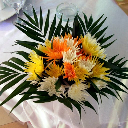 1923-FloriClaudia030