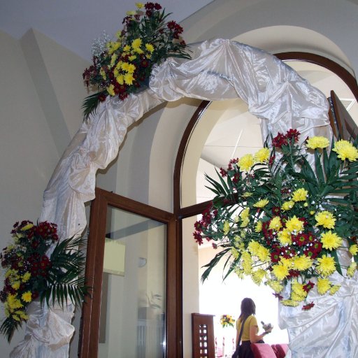 1933-ANASIBOGDANBANICA29.08.2007019