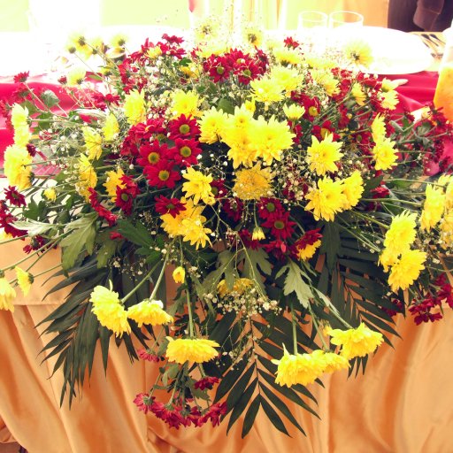 1935-ANASIBOGDANBANICA29.08.2007016