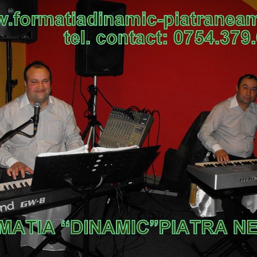 2788-dinamicsite.ro1OK