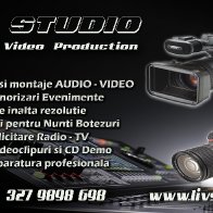 321-CARTEDEVIZITALIVSTUDIO20132