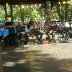 342-DSCN0742