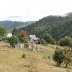 3545-DSC03351