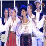 537-Callatis2013Didi4