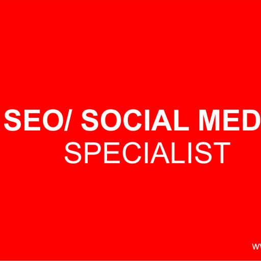 SEO job