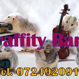 GRAFFITY BAND MUSIC CONSTANTA