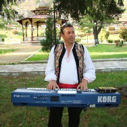 Dan Moise Compact Armonic