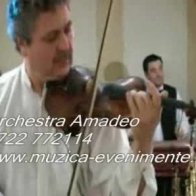 Orchestra Amadeo - spectacol   VIOARA